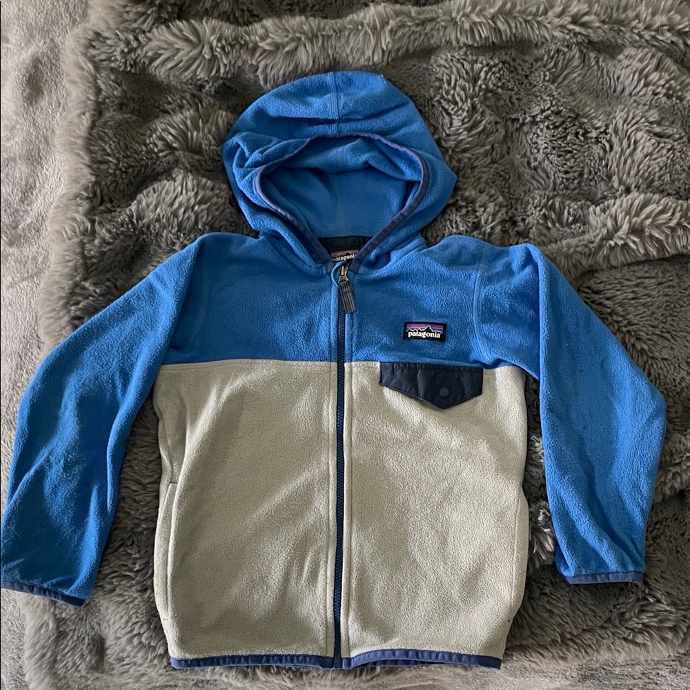 Patagonia Kids Two-Tone Blue and grey Hoodie